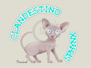 Logo Clandestino Sphynx